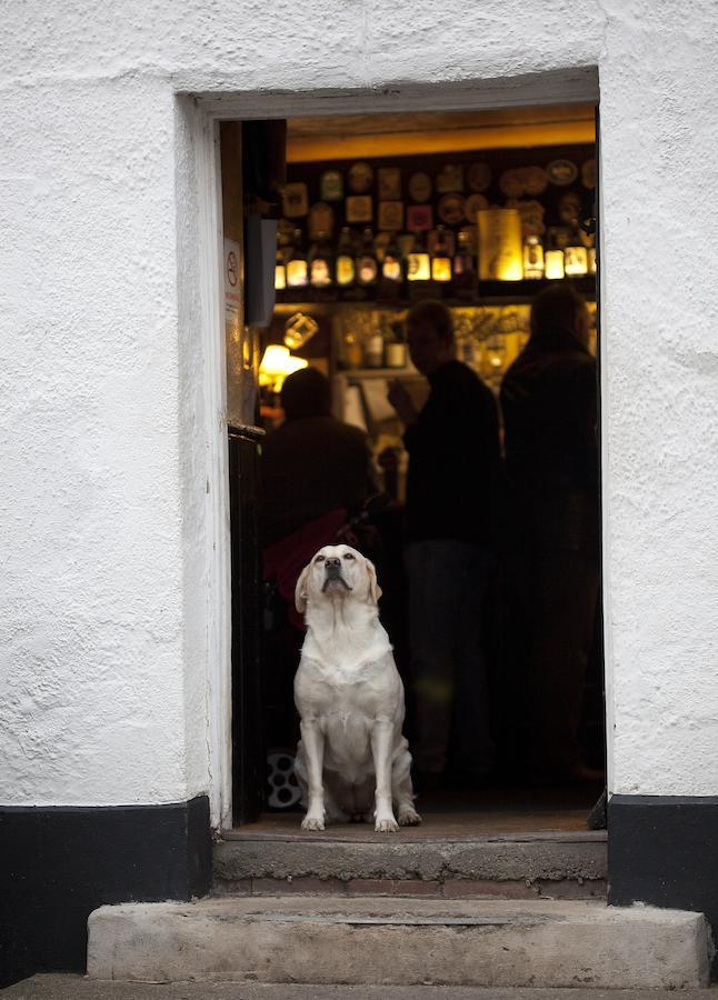 Duke Of York Hotel Dolton Eksteriør billede
